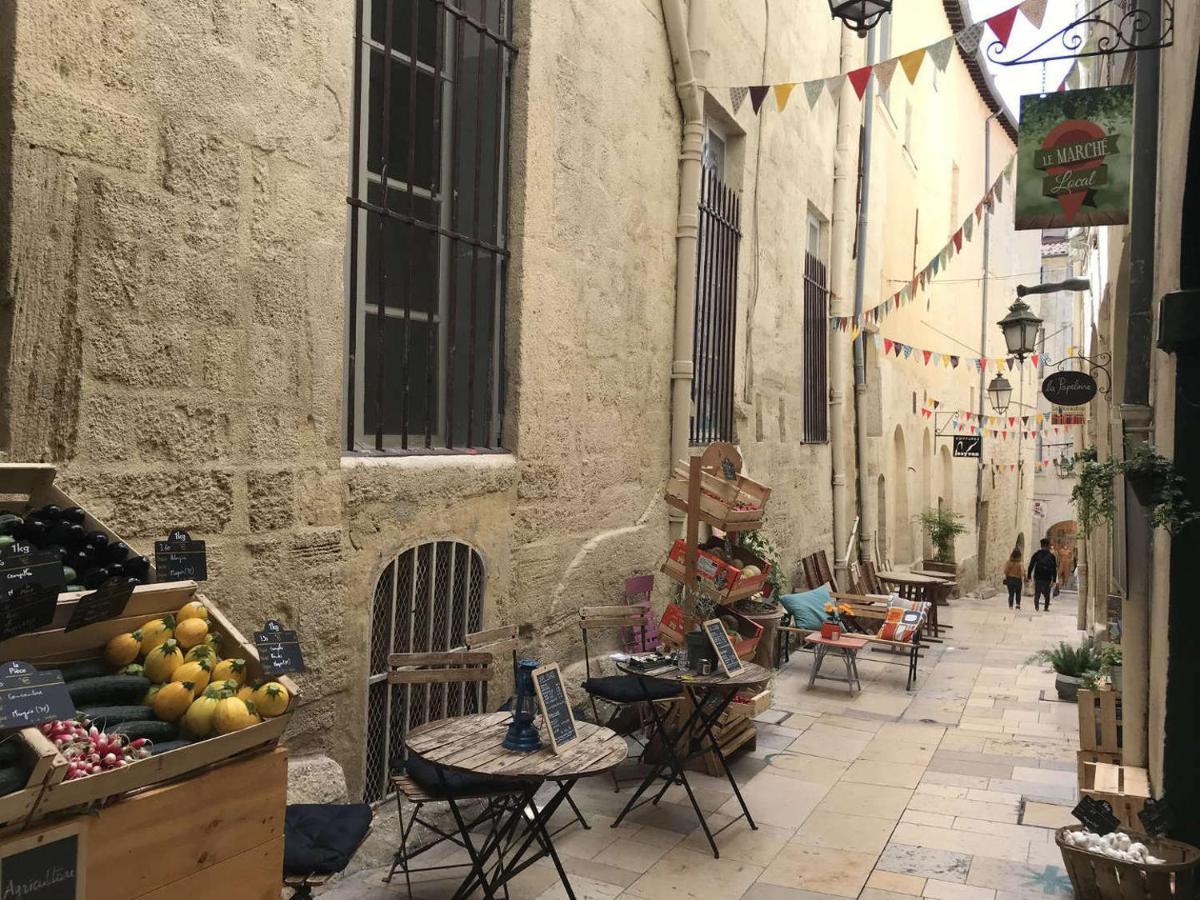 Au Calme Plein Centre Historique Appartement Montpellier